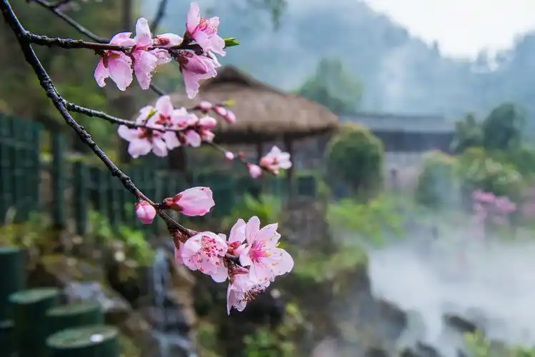 酉阳桃花源旅游景区