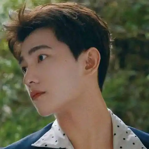 杨洋明星爱豆头像壁纸