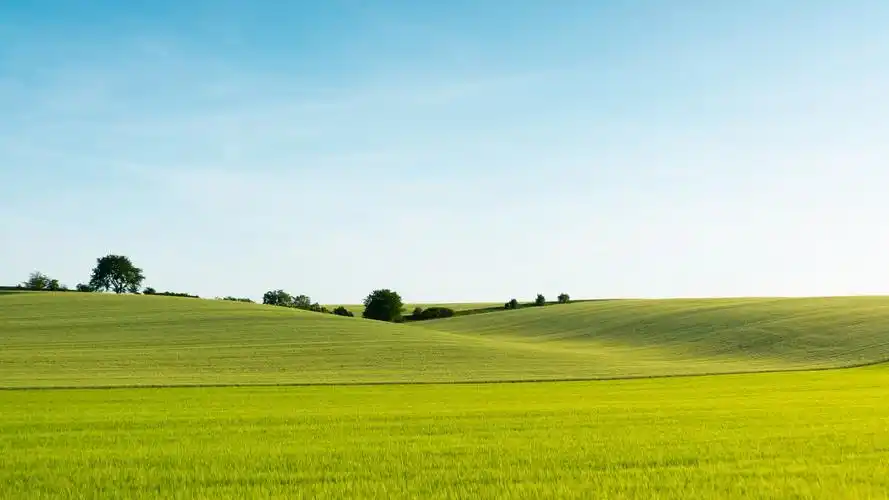 美丽的绿色麦田风景4k壁纸3840x2160
