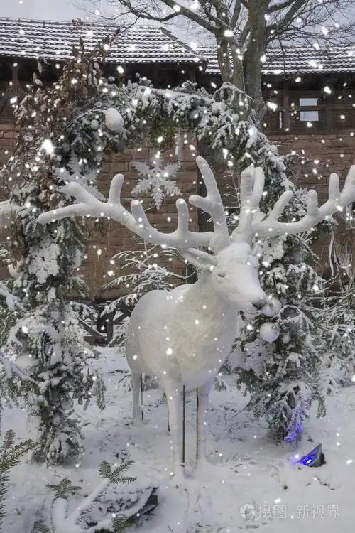 雪中的白色圣诞鹿. 装饰装修