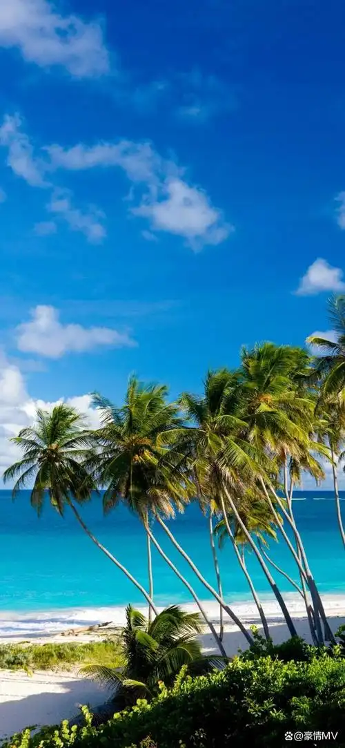 碧海蓝天竖屏壁纸超清_海边超唯美手机壁纸图片