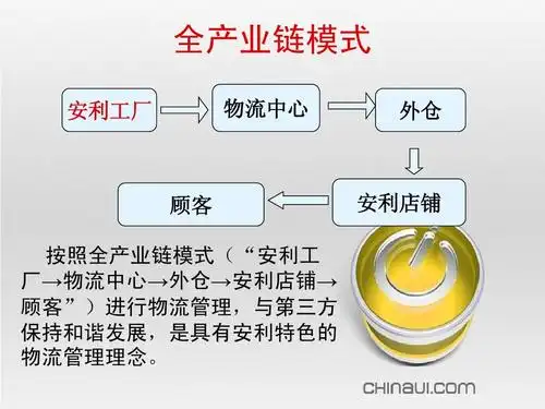 所有分类 经管营销 销售/营销 安利案例分析ppt 全产业链模式 安利