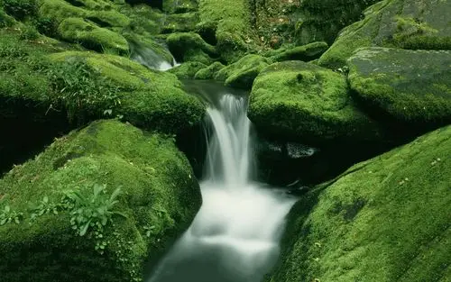 护眼,绿色,瀑布,清新,礁石,苔藓,山涧一程山水一年华壁纸图片