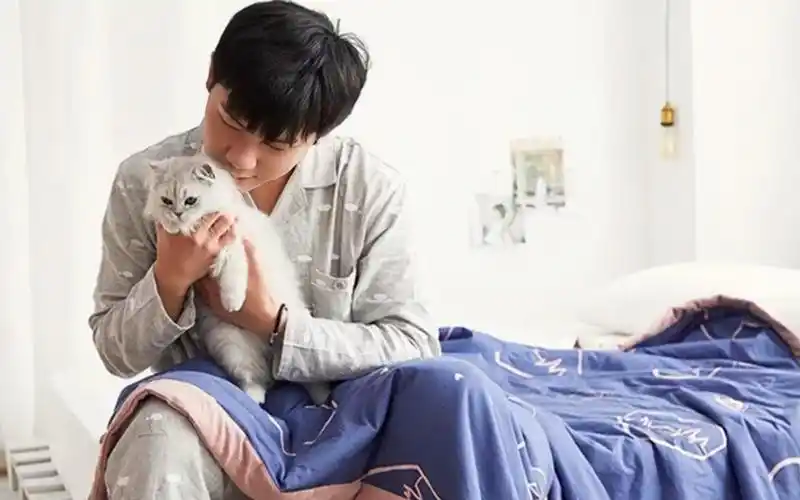 景向谁依&羊仔《玫瑰花的葬礼》羊劳斯床照合集(bushi