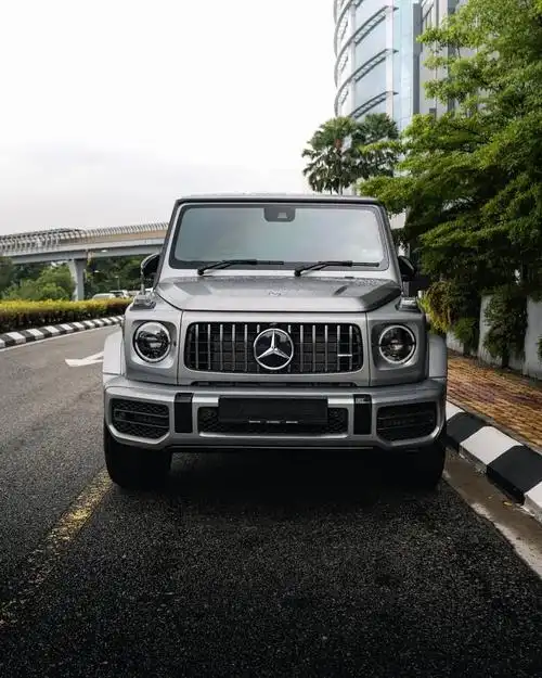 【图】大g的诱惑真得很大_奔驰g级论坛_汽车之家论坛