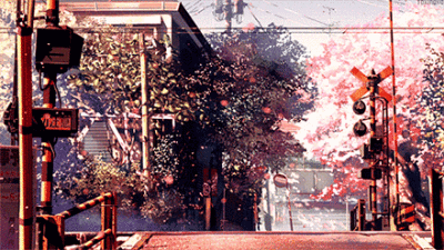 分享一组满屏飘落着浪漫的樱花的唯美gif动态插画图片,取材自动画电影