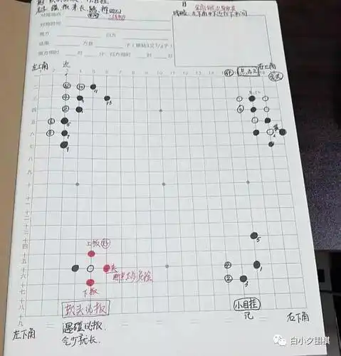 看了《棋魂》,初学围棋,需要打谱吗?|棋谱|棋子|阿尔法狗_网易订阅