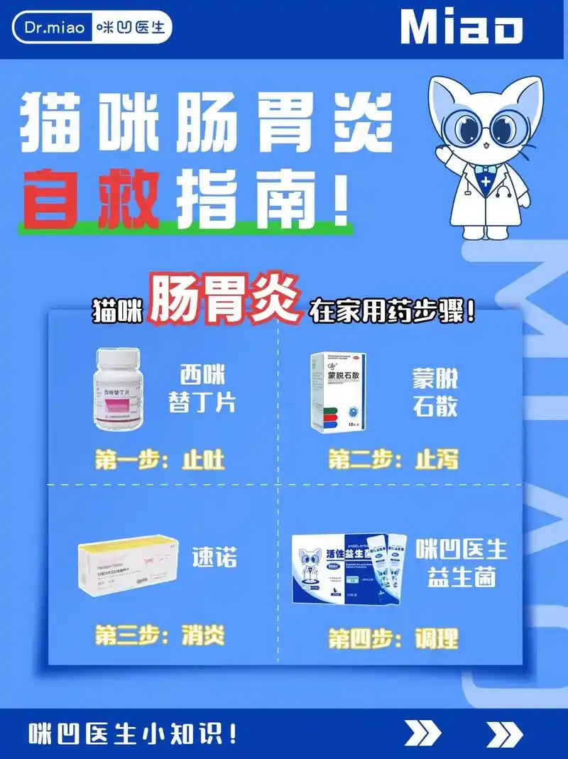 铲屎官必看7515|猫咪肠胃炎在家用药指南75.