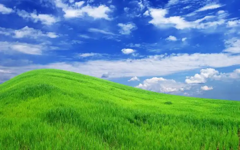 电脑壁纸 风景 看遍夏季草原治愈心里的辽阔之美