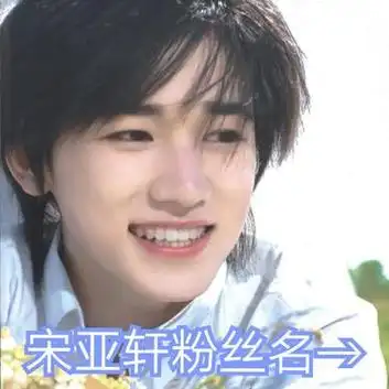 宋亚轩粉丝名!建议收藏