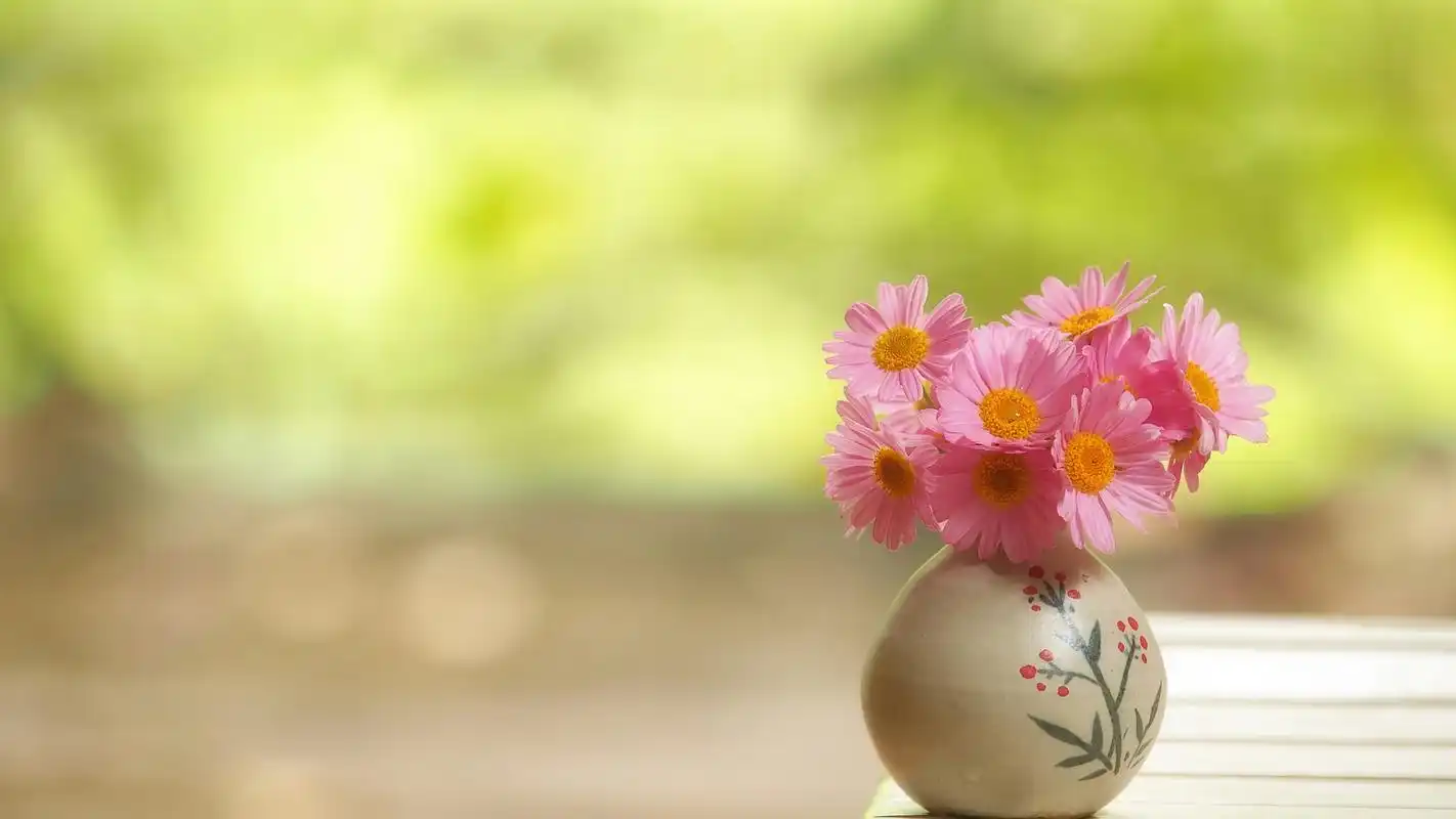 清新唯美花卉主题图片电脑桌面壁纸