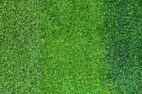 绿色纯色草皮背景小草