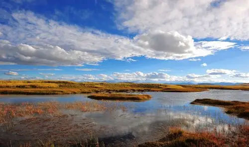 阿里无人区-草原湿地