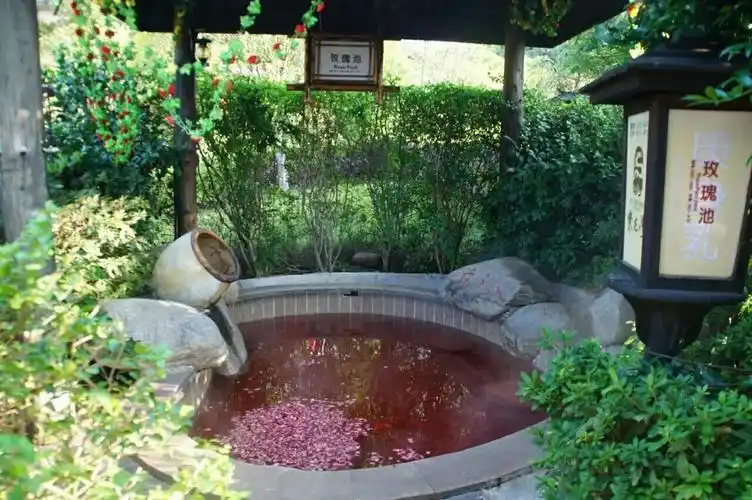 宁乡紫龙湾温泉,养生,渔疗一日游