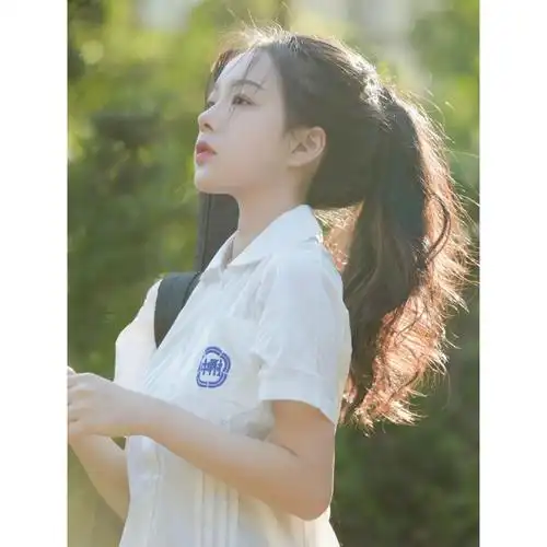 衬衫台湾师大附中短袖风琴褶白jk制服校服衬衫