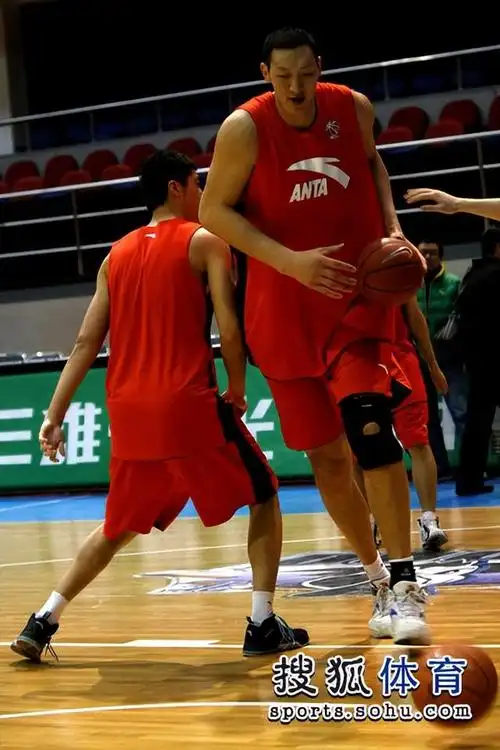 当我们提到身高,很多人都会想到姚明,这位中国篮球巨星以他的2.