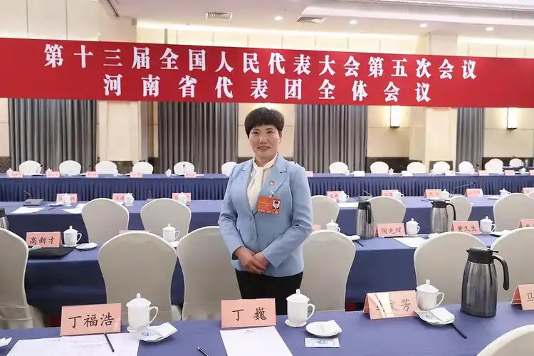 她代表声音全国人大代表刘香莲建设以村民为主体的公共