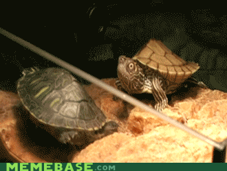 暗黑破坏神3第四幕场景的重探与反思