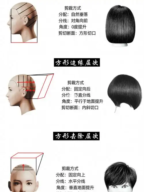 方圆三角技术美发理论海蒂老师剪发教程