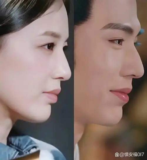 尤其是鼻子弧度,嘴巴形状到下巴的兜翘度都一样!