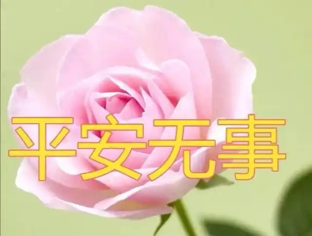 平安是另一半的企盼; 平安是朋友的祝福; 平安也是子女的心愿