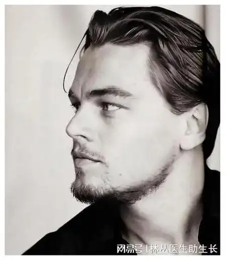 小李子的魅力之谜:演技,颜值与幽默感的完美结合