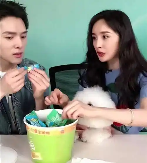 连做3次危机公关,网友依旧不买账,李佳琦该何去何从?