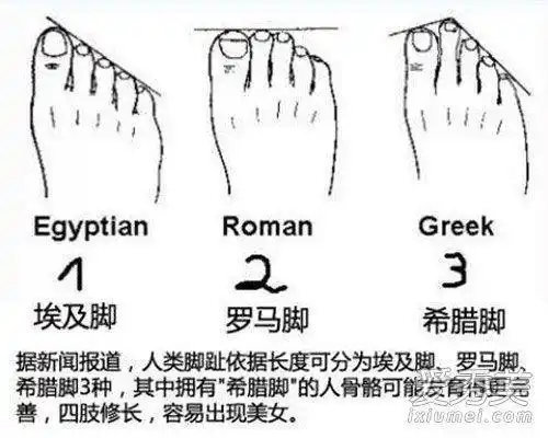 脚相看命理:中指长是劳碌命