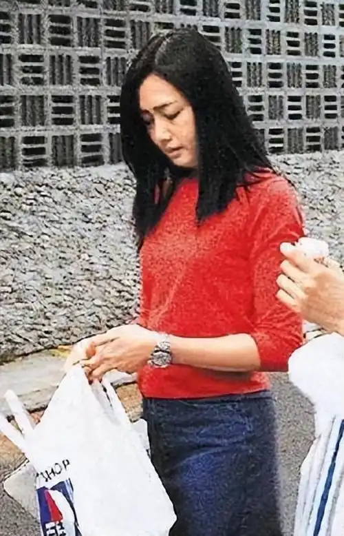 刘德华妻子朱丽倩:高龄产子后现如何