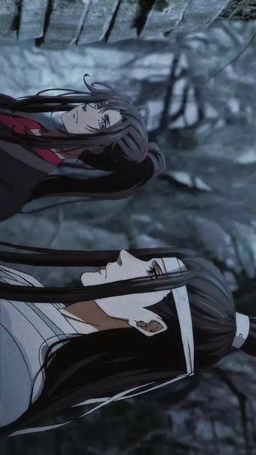 动漫 魔道祖师 魏无羡 蓝忘机 截图 - 堆糖,美图壁纸兴趣社区