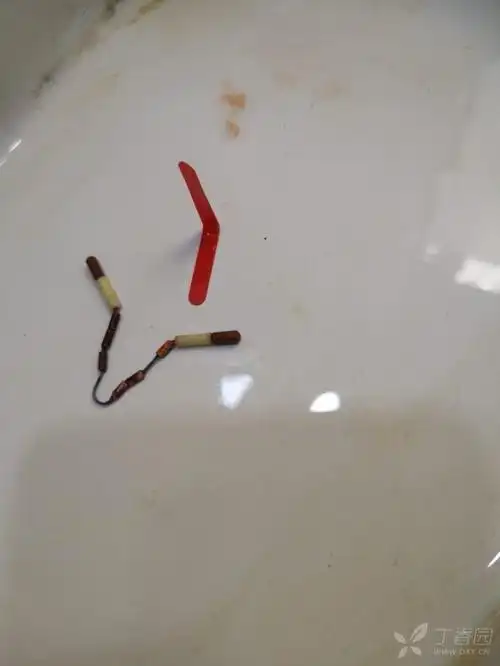 取环术中取出红色片状物…… [病例帖]