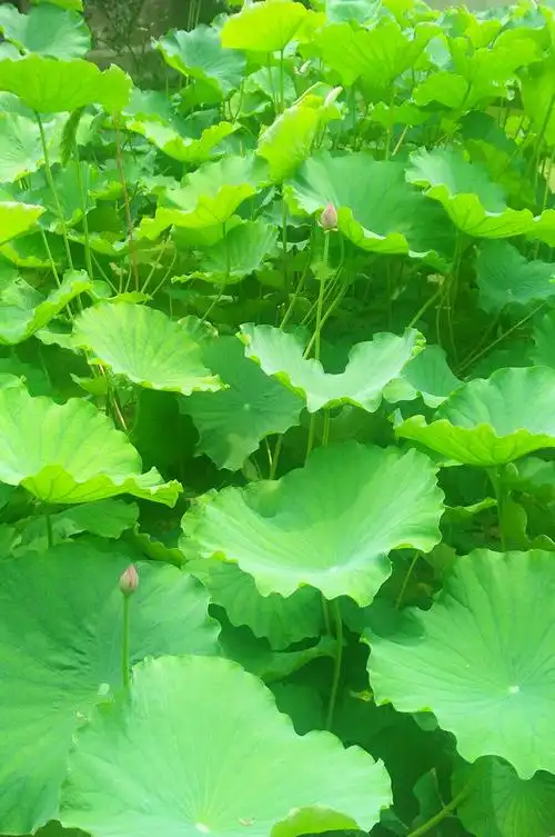 这些年拍下的美好,只有大自然才会让人心旷神怡!