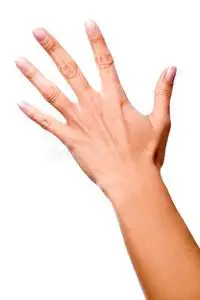 一只手的背面照片