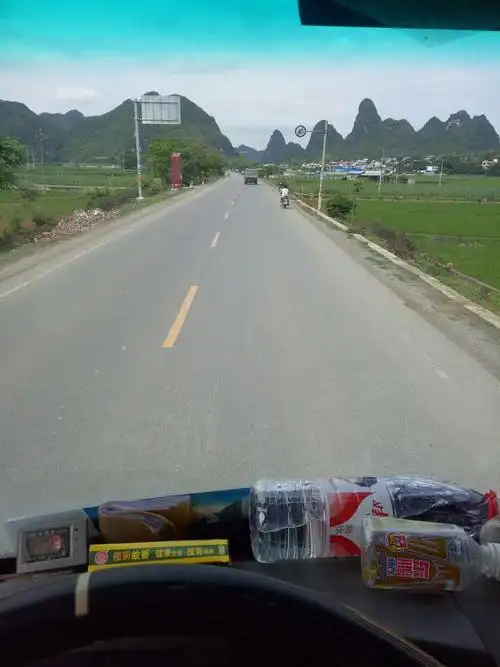 广西壮族自治区崇左市大新县316省道靠近黄金凤诊所