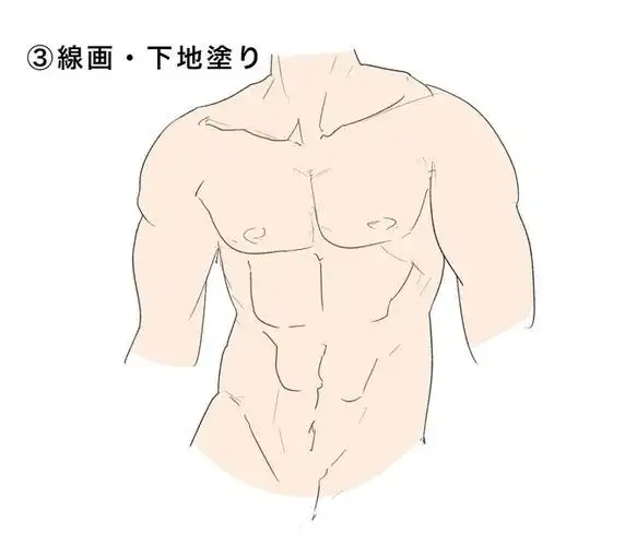 漫画人物肌肉怎么画教你动漫人物腹肌画法技巧讲解