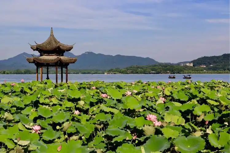 其它 夏日西湖 写美篇           到杭州有一个星期了,虽然每天阳光