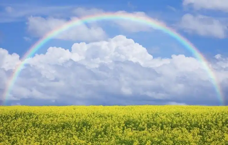 这七个梦境是居然是发财,好运来临的前兆,你知道吗?