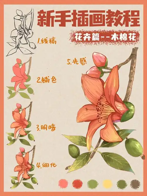木棉花要注意花形的塑造969696绘画工具:wacom手绘板绘画软件