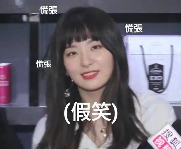 redvelvet表情包追星爱豆