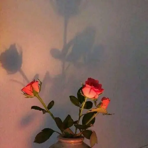 好看的有个性qq名片背景图片