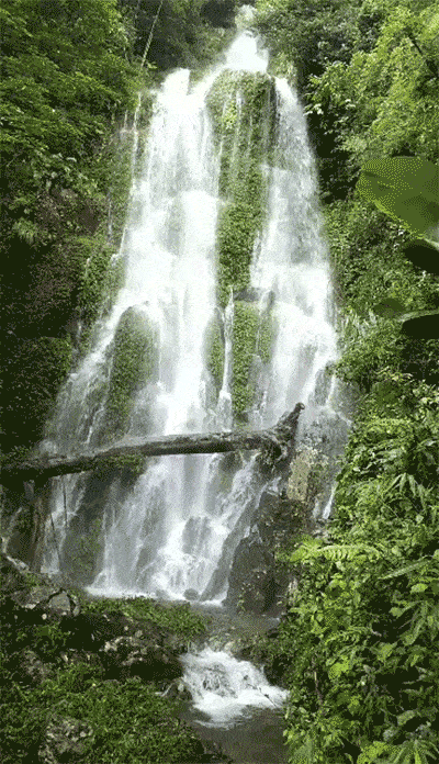 400_696竖版 竖屏gif 动态图 动图