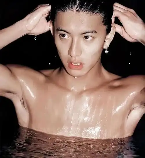 他年轻的时候可以说是绝美神颜,剑目眉星,鼻梁高挺,五官精致而秀气