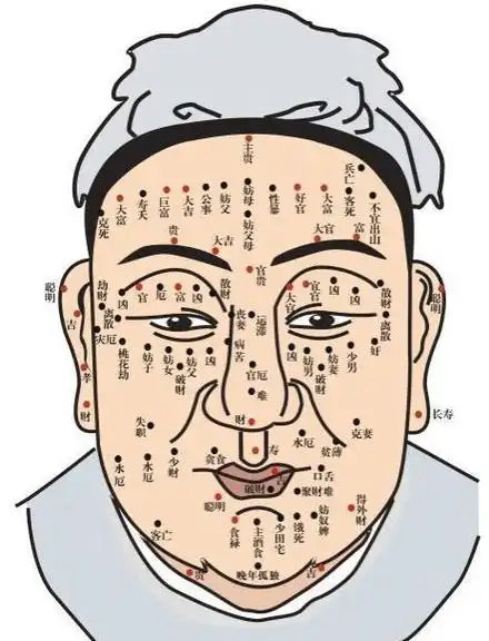 面相痣正确图解男 面相痣的图片大全