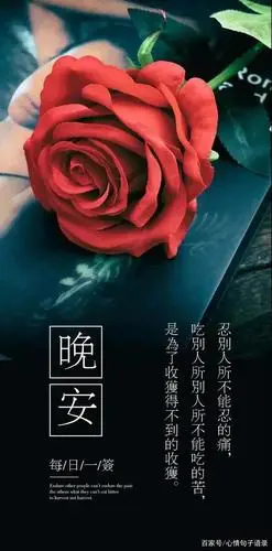 晚安带字温馨图片,唯美正能量晚安心语