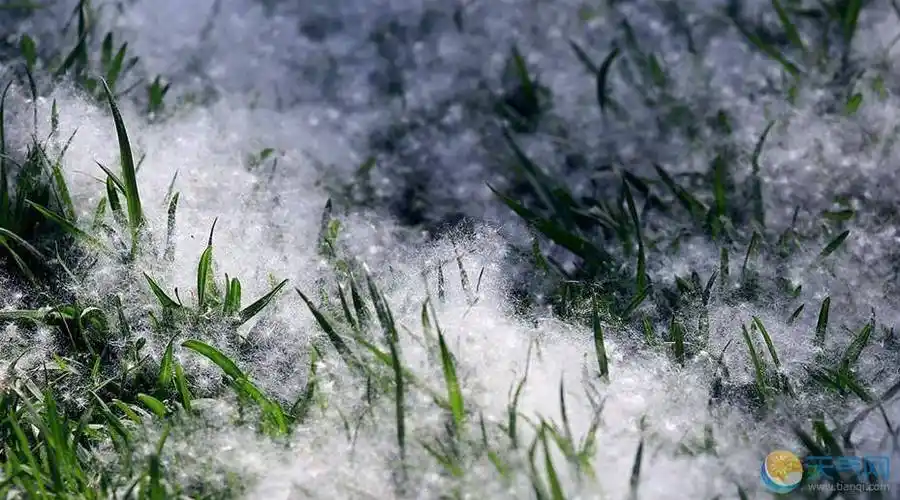 合理安排时间,在柳絮飘飞高峰期不要待在户外戴好口罩,易过敏的同学