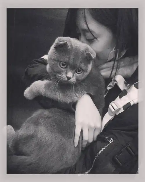 你珍藏的马鹿cp最让人心动的照片是什么