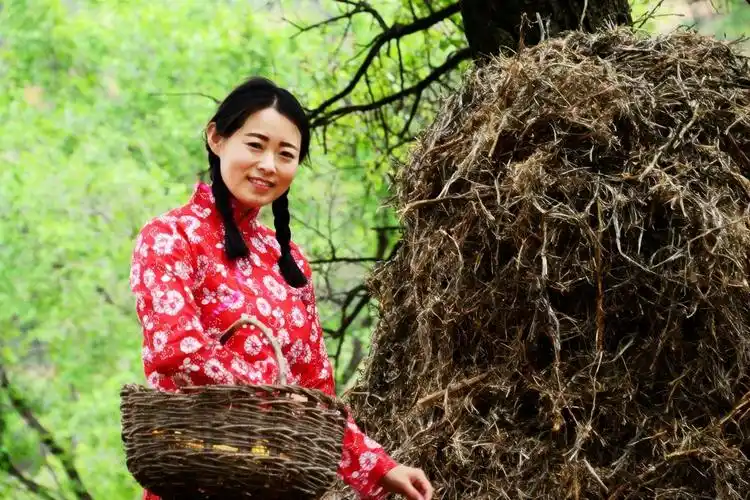 陕北妹子你看过来,看过来