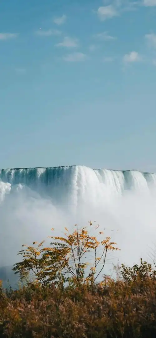 壁纸 风景 摄影 桌面 660_1431 竖版 竖屏 手机