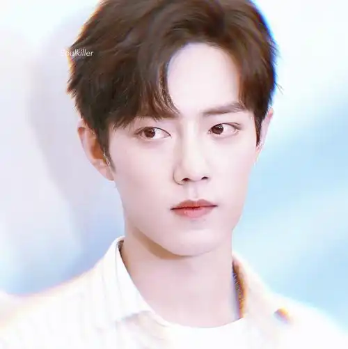 肖战,肖战头像肖战.