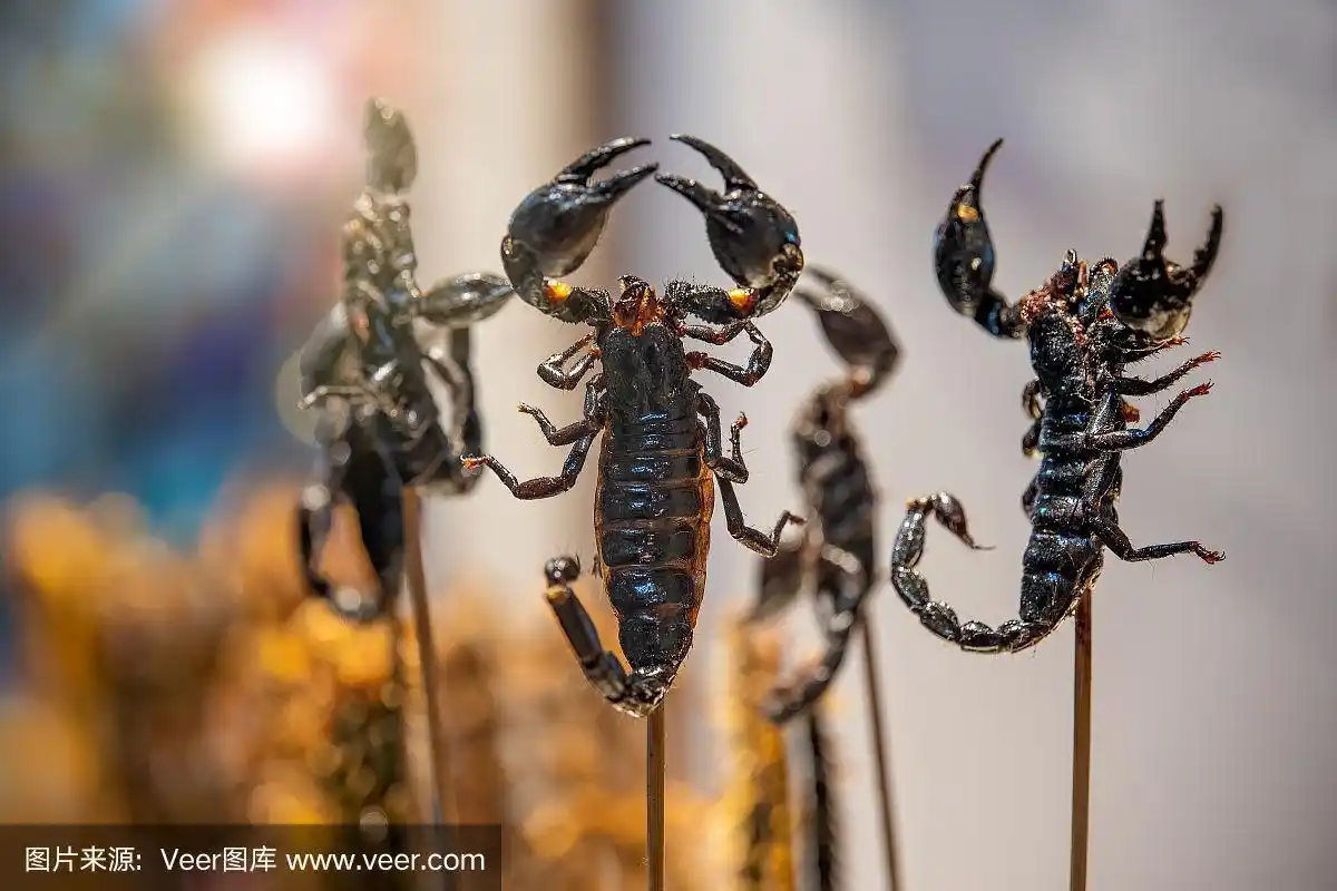 烤的,串肉签,蝎子,清新,食品